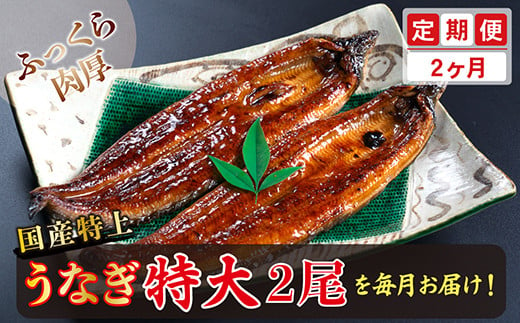 
【定期便２回】国産！特上うなぎのかば焼き 約250g × 2尾× 2回お届け （毎月お届け）
