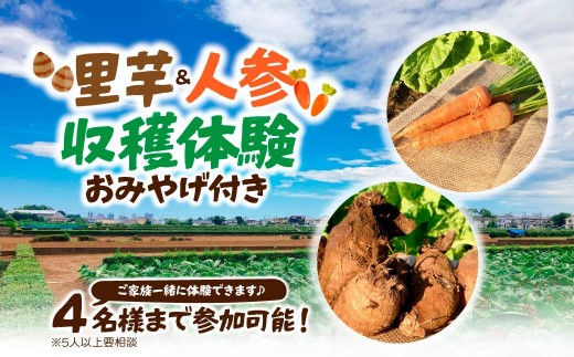 三富開拓の地を体験！ 里芋人参収穫体験 | 収穫体験 農業体験 さといも サトイモ 芋 いも イモ 人参 ニンジン にんじん 根菜 野菜 芋煮 煮物 煮込み 料理 鍋 和食 新鮮 掘りたて ねっとり 国産 季節限定 収穫 農業 三富 関東 こうやま農園 埼玉県 所沢市