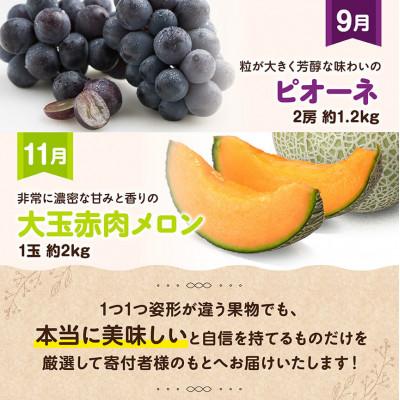 ふるさと納税 川南町 【発送月固定定期便】プレミアムデラックス定期便(奇数月)(川南町)全6回 |  | 03