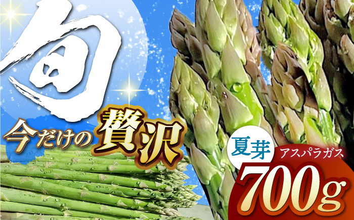 【新鮮でみずみずしい】夏芽アスパラガス 700g【けいちゃん農園】 [HCC005]