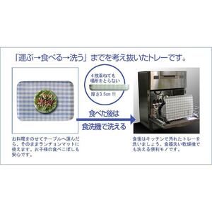 【イエロー×ピンク2枚組】 タツクラフト SR トレー L 39cm ミルキーチェック