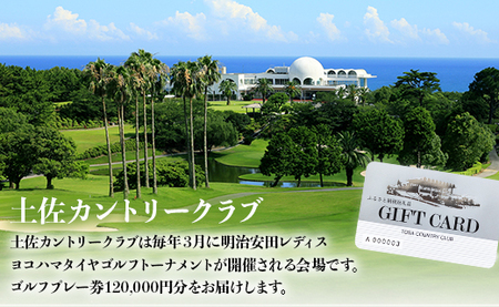 土佐カントリークラブ プレー券 120,000円分 - ゴルフ場 チケット プレー券 ラウンド コース 400000円 趣味 体験 スポーツ アウトドア 手結山開発観光株式会社 高知県 香南市 kb-