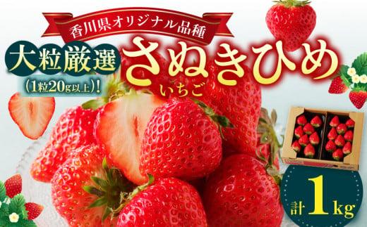 大粒厳選(1粒20g以上)!さぬきひめいちご 約1kg【2026-3月上旬～2026-3月下旬配送】 372013_T006-306J