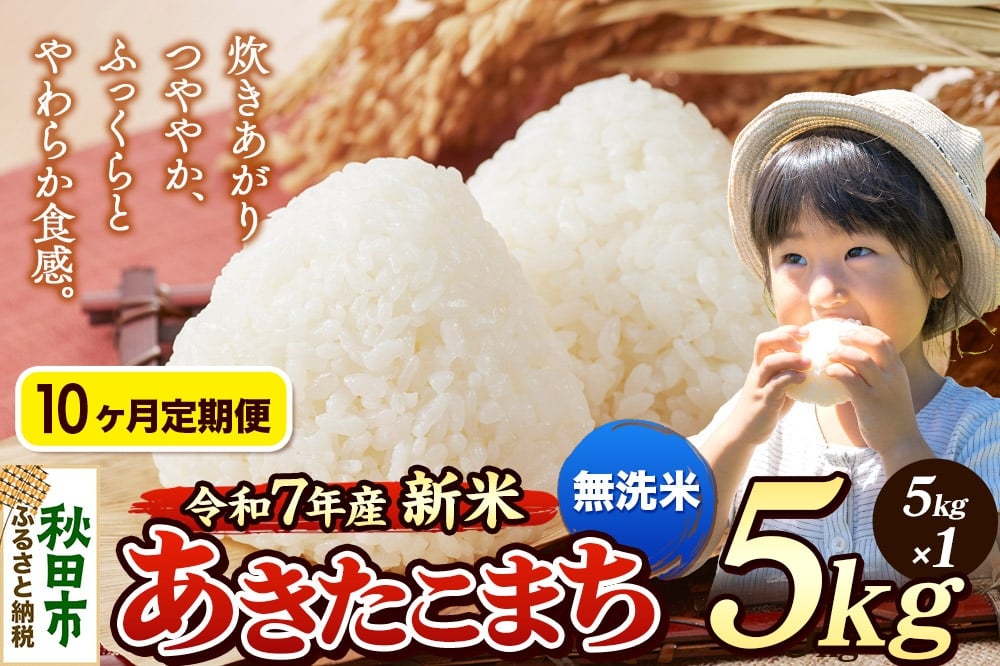 
            《令和7年産 新米先行受付》《定期便10ヶ月》 米 あきたこまち 5kg 【無洗米】 秋田県産
          