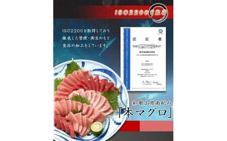 【 年末配送 お正月予約 】本マグロ（養殖）トロ＆赤身セット500g【12月26日～30日発送】 まぐろ マグロ 鮪 お刺身 赤身 トロ 柵 年内配送 年内発送 年末配送 年末発送【nks110-sg