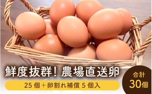 鮮度抜群！農場直送「卵」30個（25個 ＋ 卵割れ補償 5個）[A-01603] | 卵