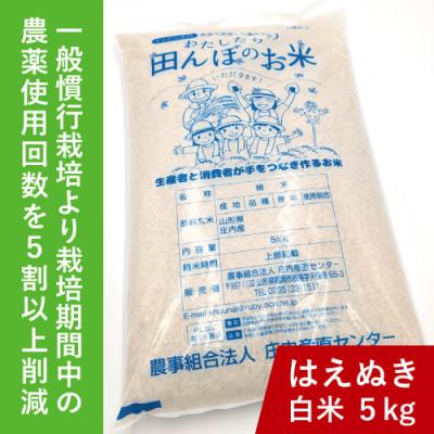 ふるさと納税 鶴岡市 令和7年鶴岡産 はえぬき 白米 5kg