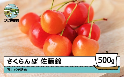 さくらんぼ 佐藤錦 秀Lサイズ バラ詰め 500g 2026年産 令和8年産 山形県産 ふるさと納税 果物 くだもの フルーツ 期間限定 冷蔵配送 先行受付 グルメ 取り寄せ ご当地 特産 産地 直送 送料無料 東北 山形県 人気山形県産 果物 フルーツ くだもの ns-snslb500