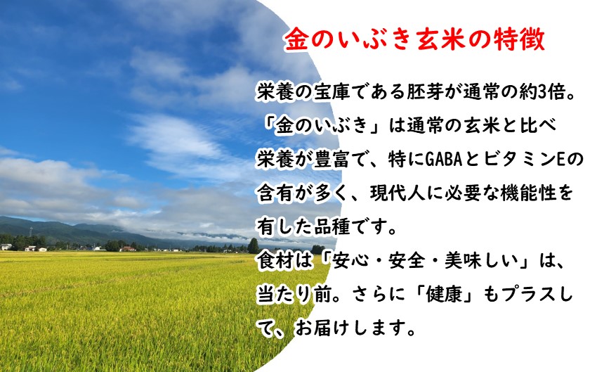 山形県飯豊町産　金のいぶき　玄米4kg