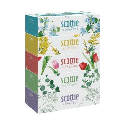 ふるさと納税 八代市 【毎月定期便】【スコッティ】ティシュー フラワーボックス 250組(5箱パック×1 合計5箱)全3回 |  | 01
