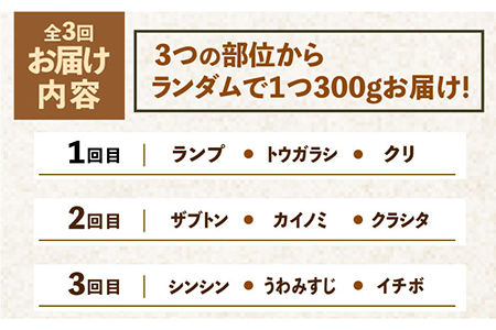 【全3回定期便】佐賀牛希少部位?ひとり贅沢焼肉コース? ランプ/クリ/トウガラシ/ザブトン/カイノミなど【ミートフーズ華松】 ブランド 高級 和牛 霜降り BBQ やわらか 冷凍 料理  精肉 牛肉 
