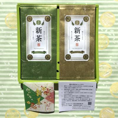 ふるさと納税 島田市 先行受付2025新茶　静岡県大井川流域産　初摘　深蒸し新茶100g×2本セット