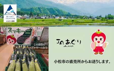 ズッキーニ 約2kg (10本前後)  | 石川県 小松市 JAあぐり
