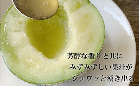 クラウンメロン【並（白等級）】中玉（1.3kg前後）1玉入り 人気 厳選 ギフト 贈り物 デザート グルメ 果物 袋井市 果物類 メロン青肉 フルーツ