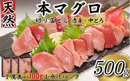 天然本まぐろ 切り落とし 500g(100g×5P） マグロ 本まぐろ 中とろ 赤身 天然 鮪 小分け 冷凍 刺身 漬け 晩酌 寿司 ユッケ マグロ丼 ねぎとろ 海鮮