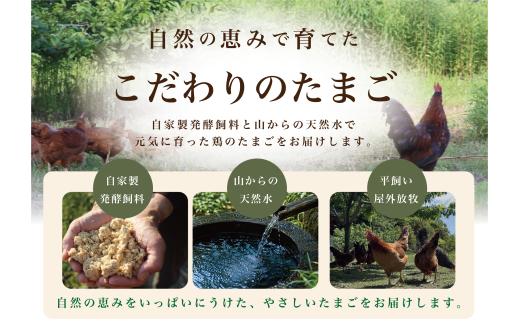 土佐ジロー10個×2P(6回) うらにわ自然たまご園