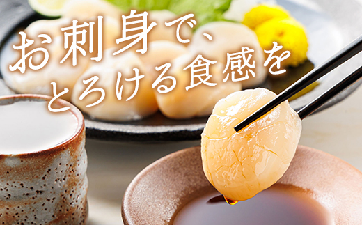【毎月定期便】北海道産の帆立貝柱を刺身用に小分けに!「ホタテ貝柱」約250g×2コ全12回【配送不可地域：離島】