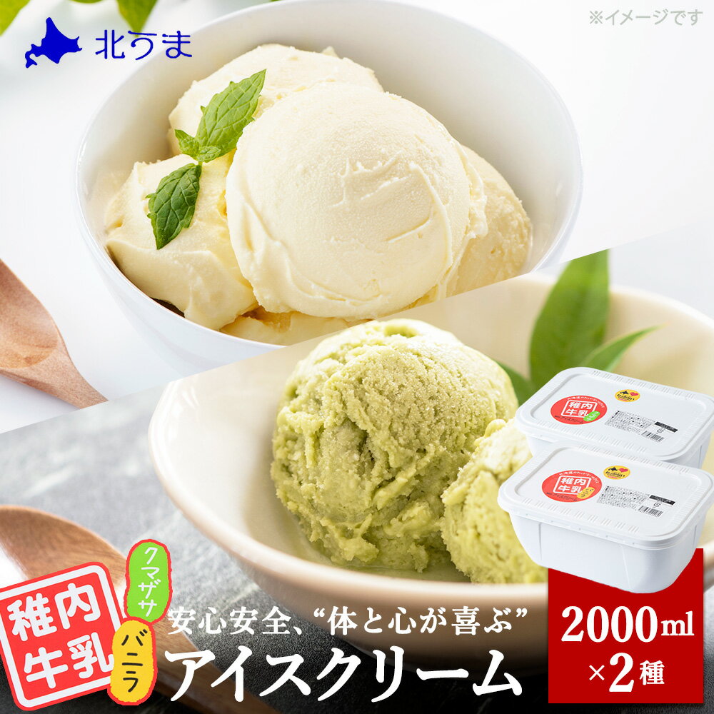 【ふるさと納税】【業務用】稚内牛乳アイスクリーム2000mlバニラ×クマザサ2個セットアイス アイスクリーム スイーツ デザート 氷菓 牛乳 北海道ふるさと納税 稚内 ふるさと納税 北海道 【配送不可地域：離島・沖縄県】
