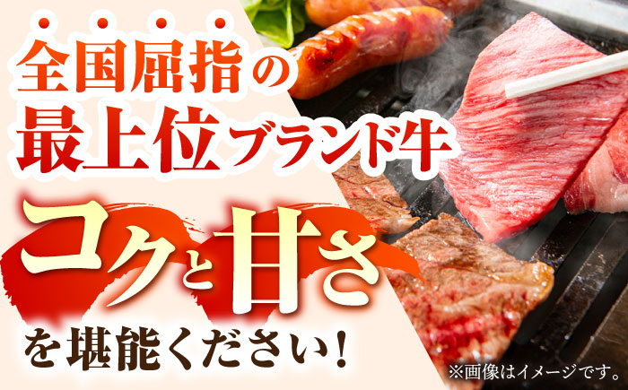 【ANA限定】【6回定期便】佐賀牛・佐賀和牛 食べつくし定期便 プレミアムコース【一ノ瀬畜産】 [NAC206]