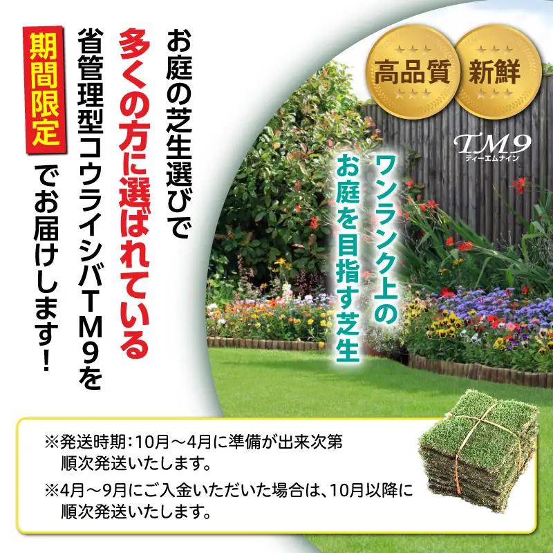 TM9（ティーエムナイン）省管理型 コウライシバ トヨタ自動車(株)開発品種 30平米 KN080-007-04 芝生 芝 庭