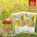 【ふるさと納税】＜3ヶ月定期便＞千葉県産「コシヒカリ」10kg×3ヶ月連続 計30kg ふるさと納税 米 定期便 10kg 3カ月 コシヒカリ 千葉県 大網白里市 送料無料 A027