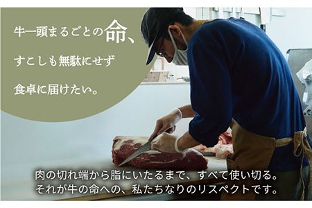 【牧場直送】【12回定期便】岩塩と牛肉のみで作った手ごねハンバーグ 100g×7個【有限会社佐賀セントラル牧場】 [IAH056]