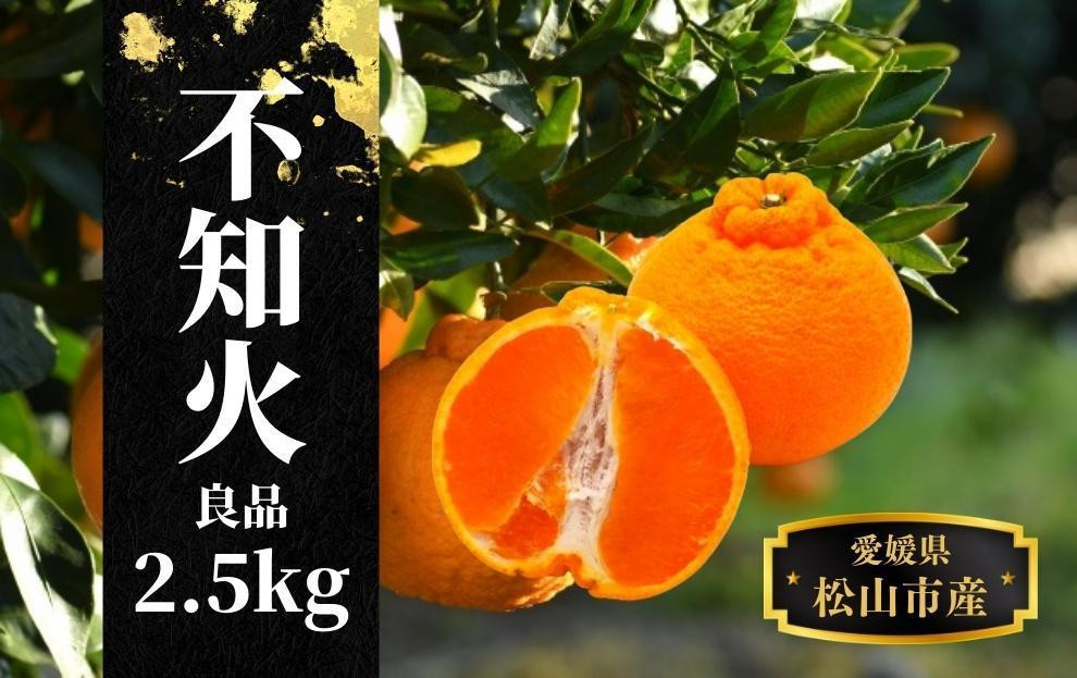 
                  【不知火】良品 約 2.5 kg ＜2027年3月中旬頃～4月頭頃順次発送＞ 愛媛 松山 みかん 先行予約 蜜柑 柑橘 果物 くだもの フルーツ お取り寄せ グルメ 期間限定 数量限定 人気 おすすめ 愛媛県 松山市
                