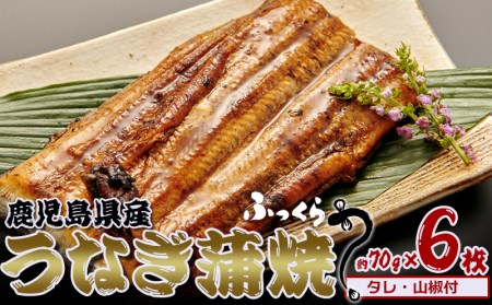 うなぎ 鹿児島県産　うなぎ蒲焼　約70g×6枚【タレ・山椒付】 
