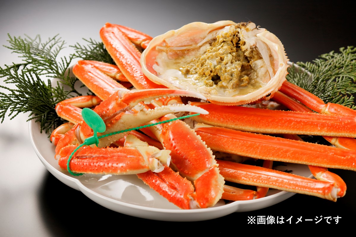 【蟹の匠 魚政】魚政BLACK 茹でズワイガニ〈急速冷凍〉中サイズ 1杯【姿のまま】カニ酢付き ズワイガニ 魚貝類 甲殻類 京丹後 ふるさと納税 蟹 ふるさと納税 カニ ふるさと納税