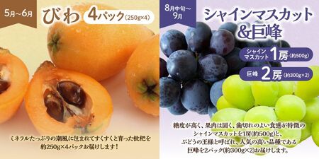 【定期便/年6回】フルーツ むなかた旬のフルーツ6回定期便 _HB0090
