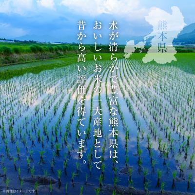 ふるさと納税 八代市 【令和7年産】  熊本県産 にじのきらめき10kg(5kg×2袋)_132-6711 |  | 01