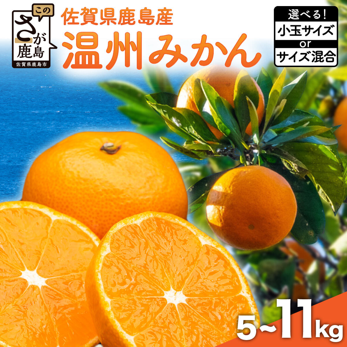 【ふるさと納税】温州みかん （ 約5kg/8kg/11kg） 小玉サイズ / サイズ混合 【11月上旬〜12月中旬頃発送予定】| ふるさと納税 みかん ミカン 果物 フルーツ 果実 蜜柑 お取り寄せ ギフト 国産 佐賀県産 佐賀県 鹿島市 ふるさと 人気 送料無料 B-279