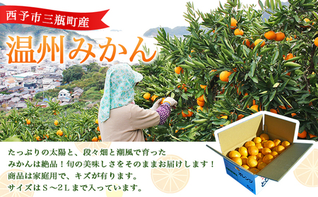 ＜とびっきりの愛媛 温州みかん 約2kg（家庭用大小混合）＞ 訳あり 家庭用 果物 柑橘 フルーツ 蜜柑 うんしゅうみかん ウンシュウミカン 特産品 片山果樹園 食べて応援 西宇和 愛媛県 西予市【常