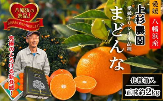 ギフト対応化粧箱入・上杉農園のぷるぷる新食感!「マドンナ」約2kg＜C39-50＞【1450439】 YWTF025