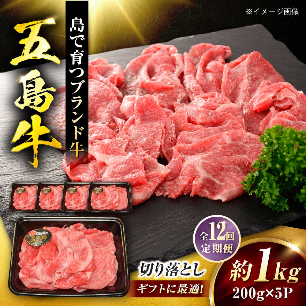 【ふるさと納税】【12回定期便】五島牛 切り落とし 1kg（200g×5P）五島市/meat shop FUKU[PHF020]