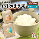 【ふるさと納税】 宮城県 令和6年産 いしのまき産米 精米 3kg ササニシキ/ひとめぼれ 品種が選べる 石巻市