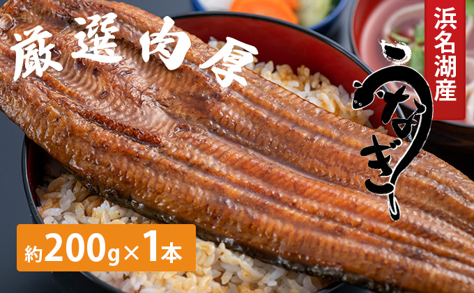 【厳選肉厚】浜名湖鰻蒲焼 1本（約200g） うなぎ 