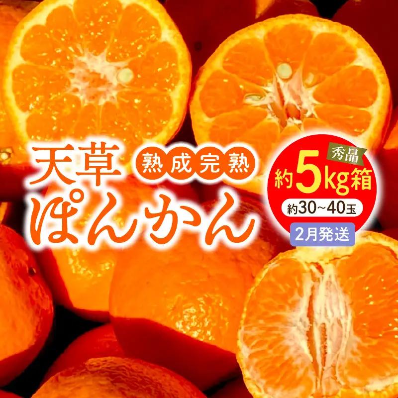 S117-006_香りを食す！熟成完熟天草ぽんかん 2月発送 約5kg箱 秀品〈先行受付〉