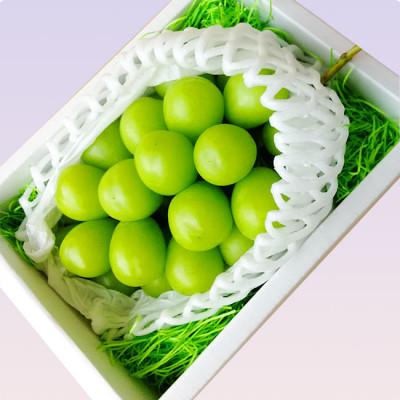 ふるさと納税 中山町 【発送月固定定期便】中山町の至高!厳選 秋のフルーツ定期便 2026年9月以降発送全3回 |  | 01