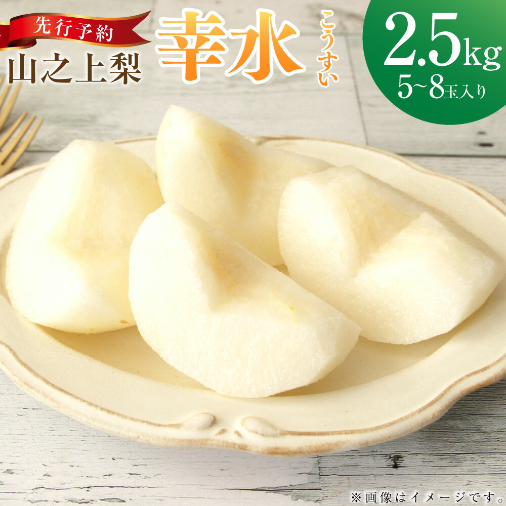 【ふるさと納税】【レビューキャンペーン対象商品】《先行予約》「丸坂山田農園」山之上梨 幸水 1箱 約2.5kg（5～8玉） | 梨 ナシ なし くだもの 果物 果実 フルーツ 冷蔵 岐阜県産 国産 岐阜県 美濃加茂市 送料無料 【2025年8月上旬～8月下旬発送予定】