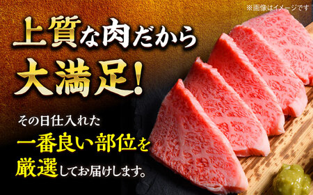 【和牛の旨味を堪能！】博多和牛 牛肉 焼肉 500g＜株式会社MEAT PLUS＞那珂川市  牛肉 肉 黒毛和牛 ブランド牛 国産  BBQ バーベキュー 焼肉 牛焼肉 牛肉 和牛 博多和牛  170
