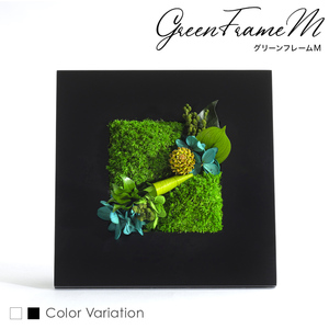 グリーンフレームM 花 お花 プリザーブドフラワー ギフト プレゼント お祝い 誕生日 お供え アレンジ インテリア 東京都 墨田区 白フレーム