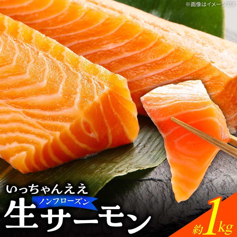 いっちゃんええ【ノンフローズン】生サーモン 全て手作業 約1kg_FJ1001