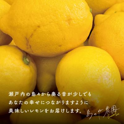 ふるさと納税 今治市 【訳あり】島のねレモン　2.5kg 【K001600】 |  | 02