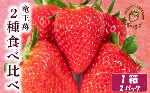 【先行予約】 竜王町産 いちご 食べ比べ 2パック 1箱 赤いちご 章姫 紅ほっぺ よつぼし かおり野 みおしずく はるひ すず あまえくぼ おいCベリー 苺 旬 産地 直送 フレッシュ イチゴ フルーツ 果物 国産 小分け ベリー 滋賀県 竜王町 人気苺 ふるさと納税苺 ふるさと苺 furusato苺 おすすめ苺 送料無料 滋賀県 竜王町 ふるさと納税