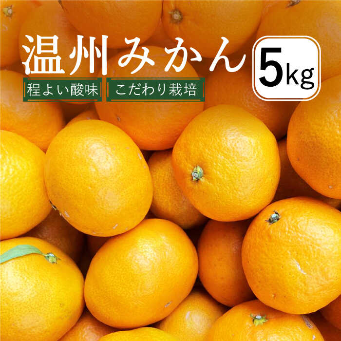 【ふるさと納税】【2025年12月中旬～発送】温州みかん 5kg (2S〜2L込) / みかん ミカン 蜜柑 柑橘 フルーツ 果物 / 南島原市 / 日野江 [SCY001]