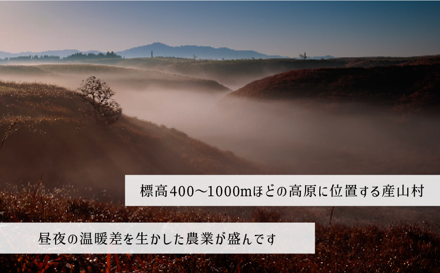 ＜令和7年産新米定期便3回＞うぶやま高原米（コシヒカリ2kg×4袋）《2025年9月末頃よリ順次出荷予定》---ubuyama_ibn_9_8kgmo3---