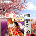 【ふるさと納税】【返礼品なし】桜川市へのご寄附1,000円 茨城県 桜川市 桜川市への寄附 返礼品なし