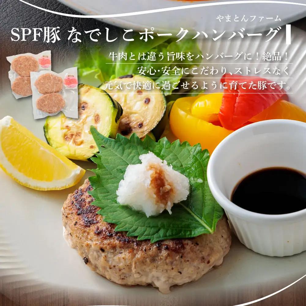 種類いろいろ！ハンバーグ セットver.2