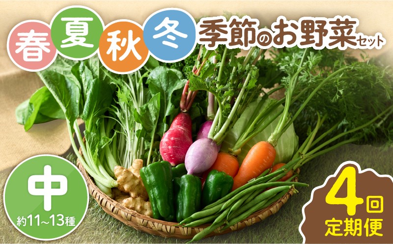 
                  【全４回定期便】春夏秋冬 季節のお野菜セット（サイズ中）約11～13種  宮崎県産 野菜定期便 詰め合わせ 新鮮 野菜 産地直送 野菜セット 農家直送 有機栽培 送料無料 【オーガニックのまち 宮崎県綾町】_A0053-014
                
